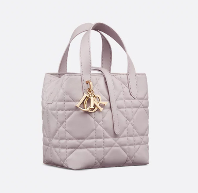 디올 Toujours 스몰 버티컬 토트백 [ 매장가 440만원 대 ]